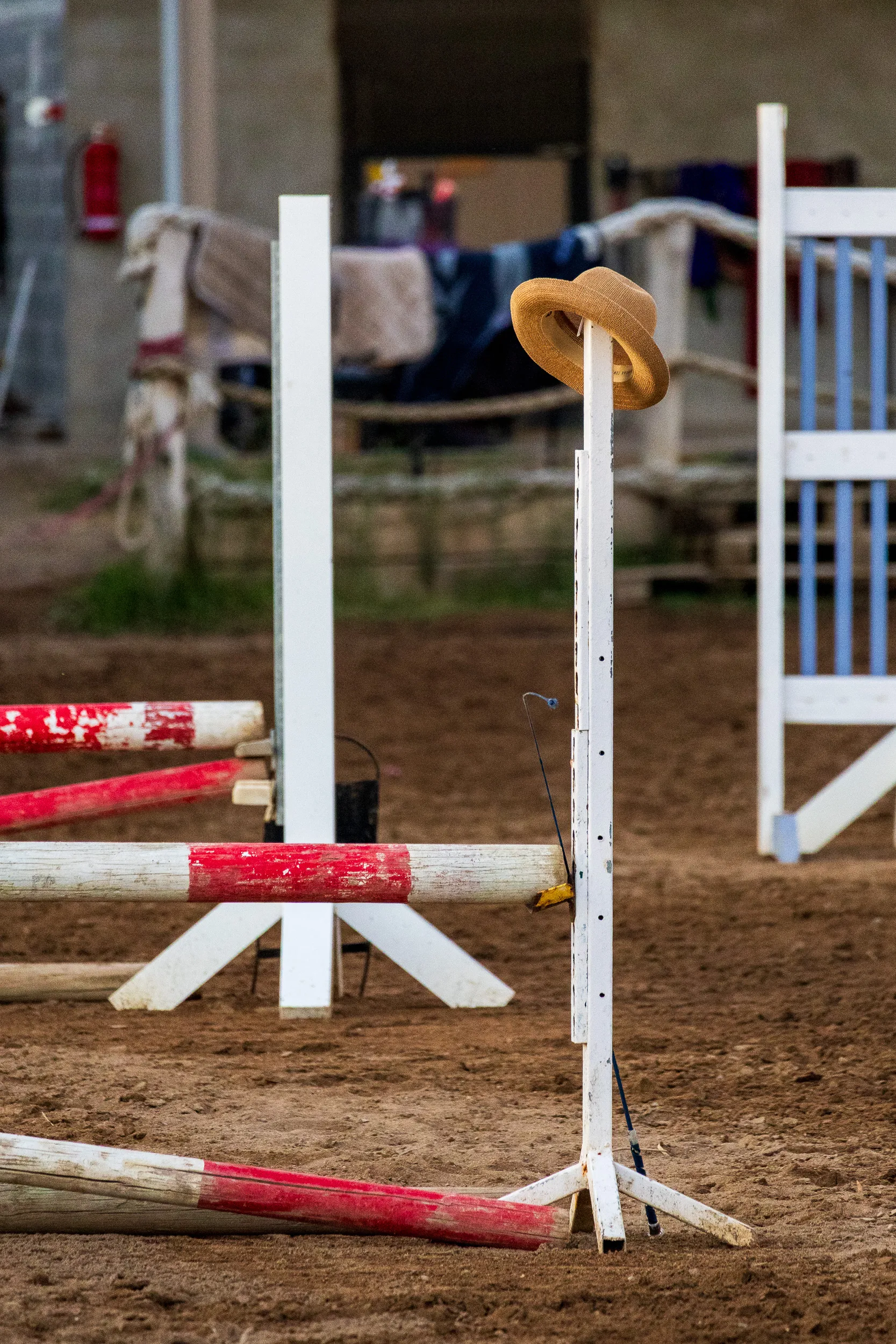 Horses — 2