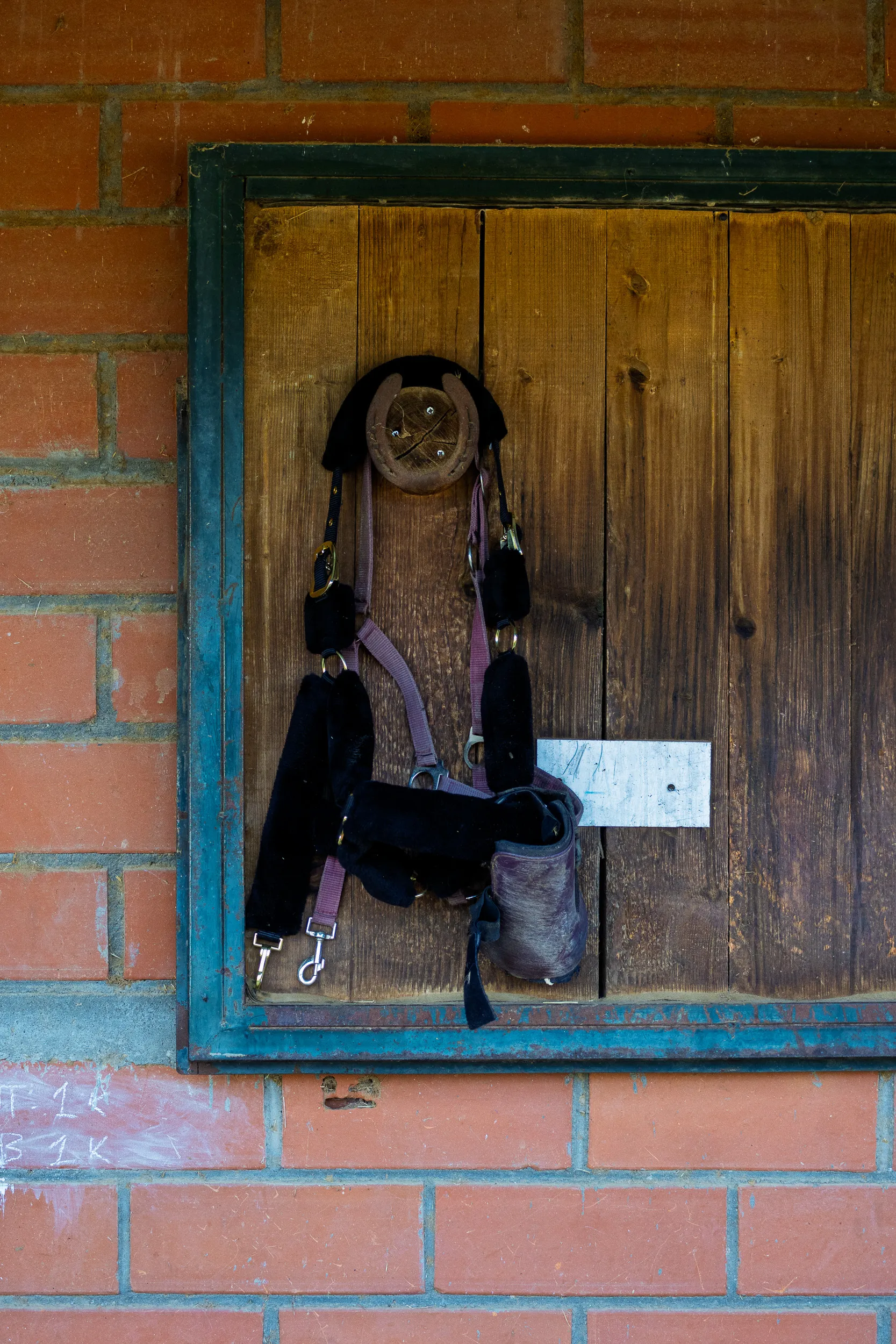 Horses — 13