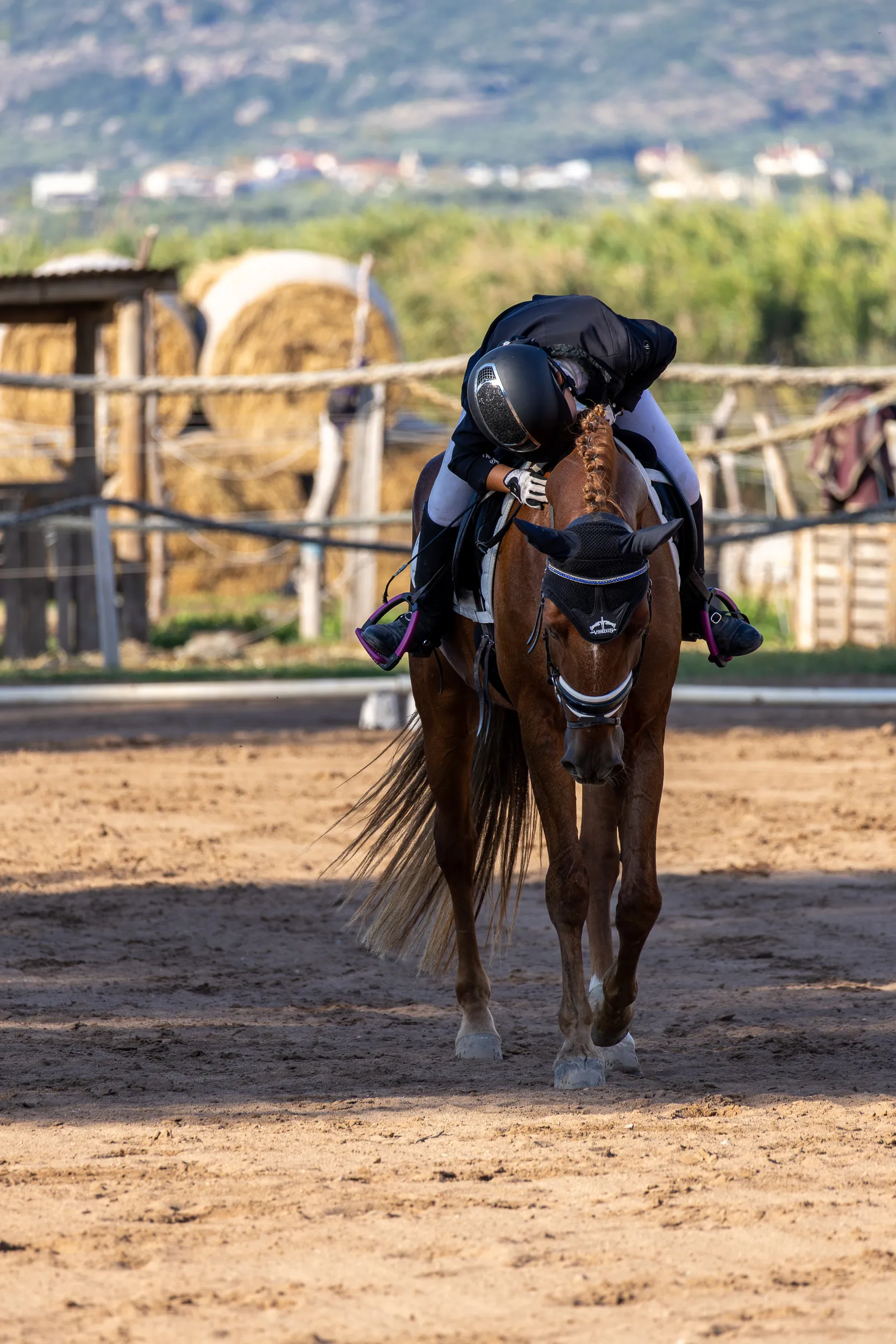 Horses — 5
