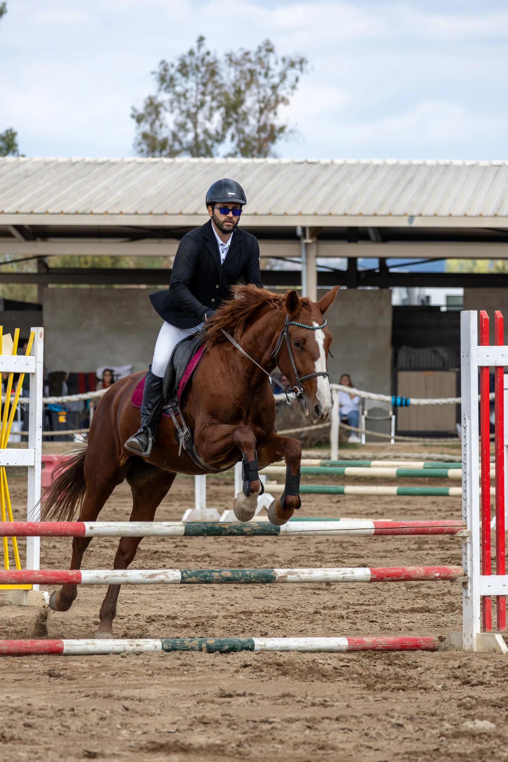 Horses — 6