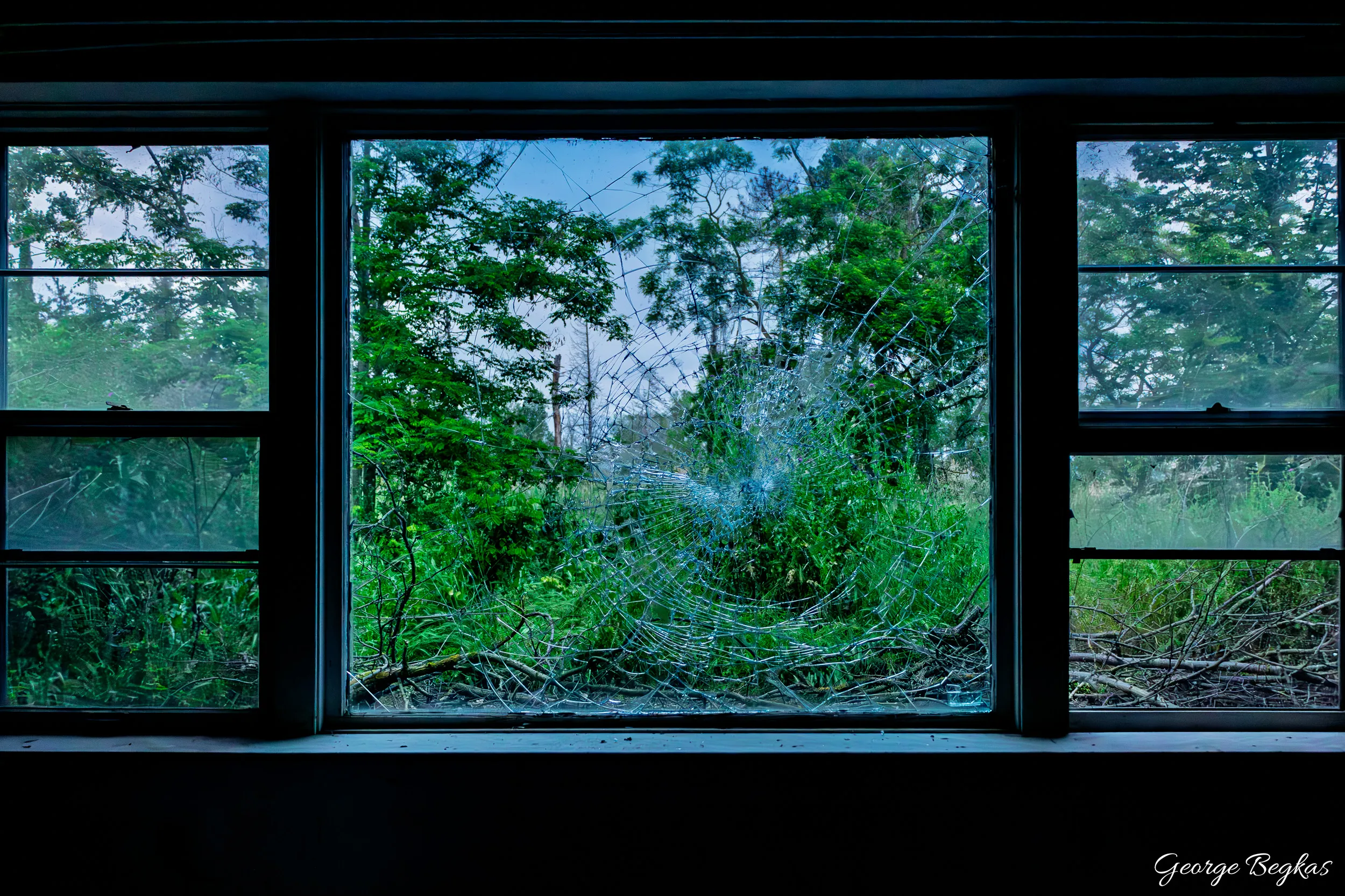 Abandonment — 6