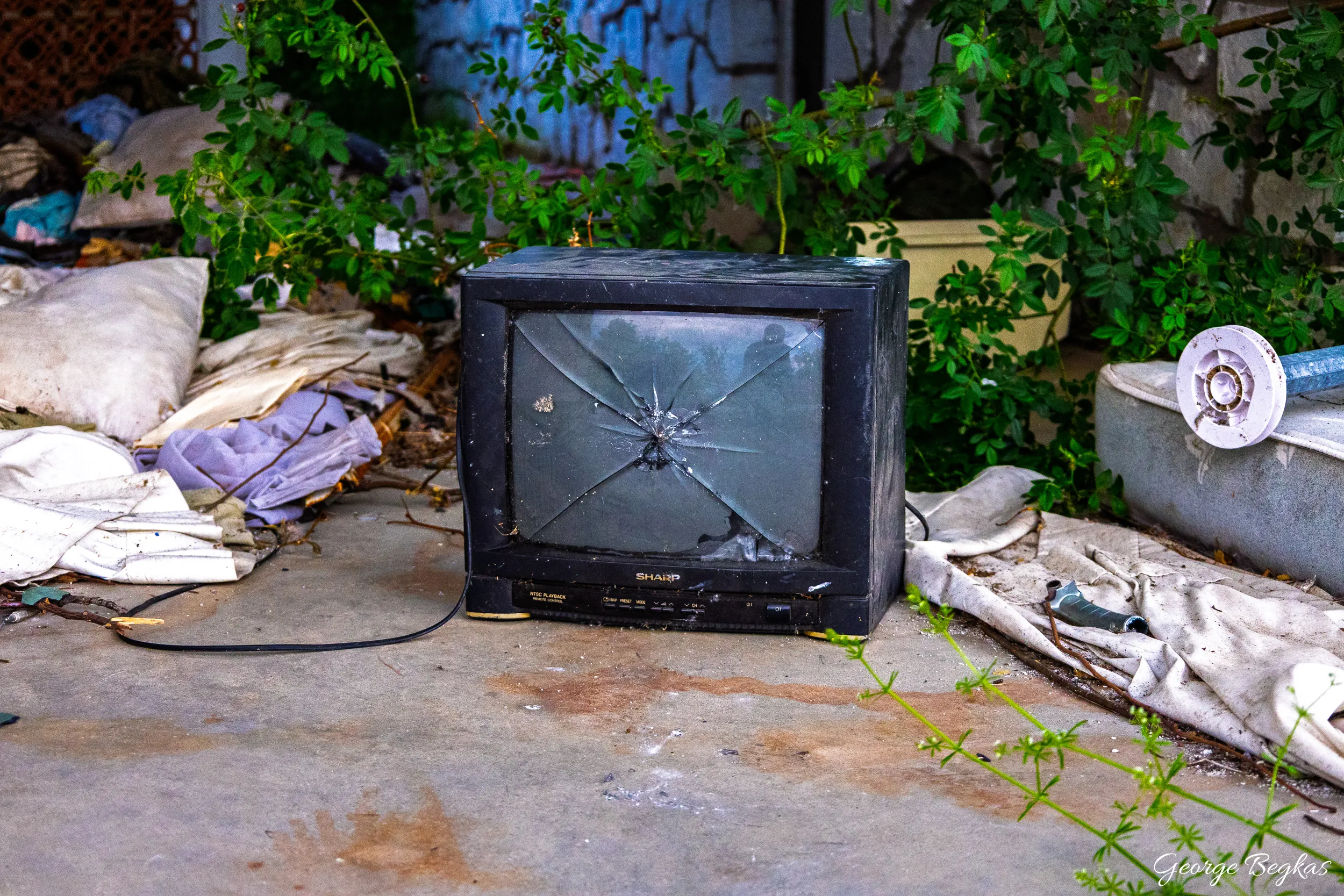Abandonment — 8