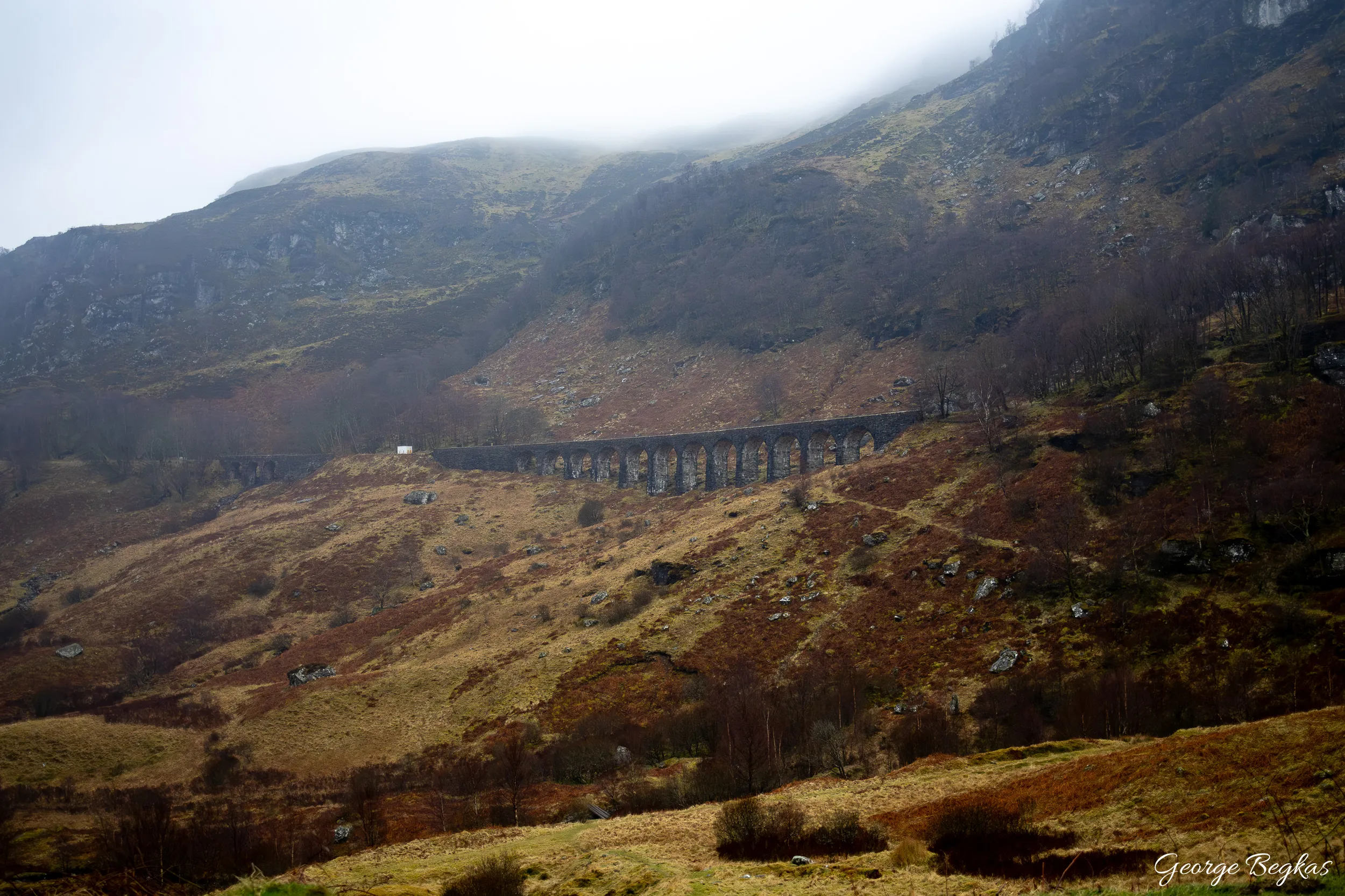 Scotland — 22