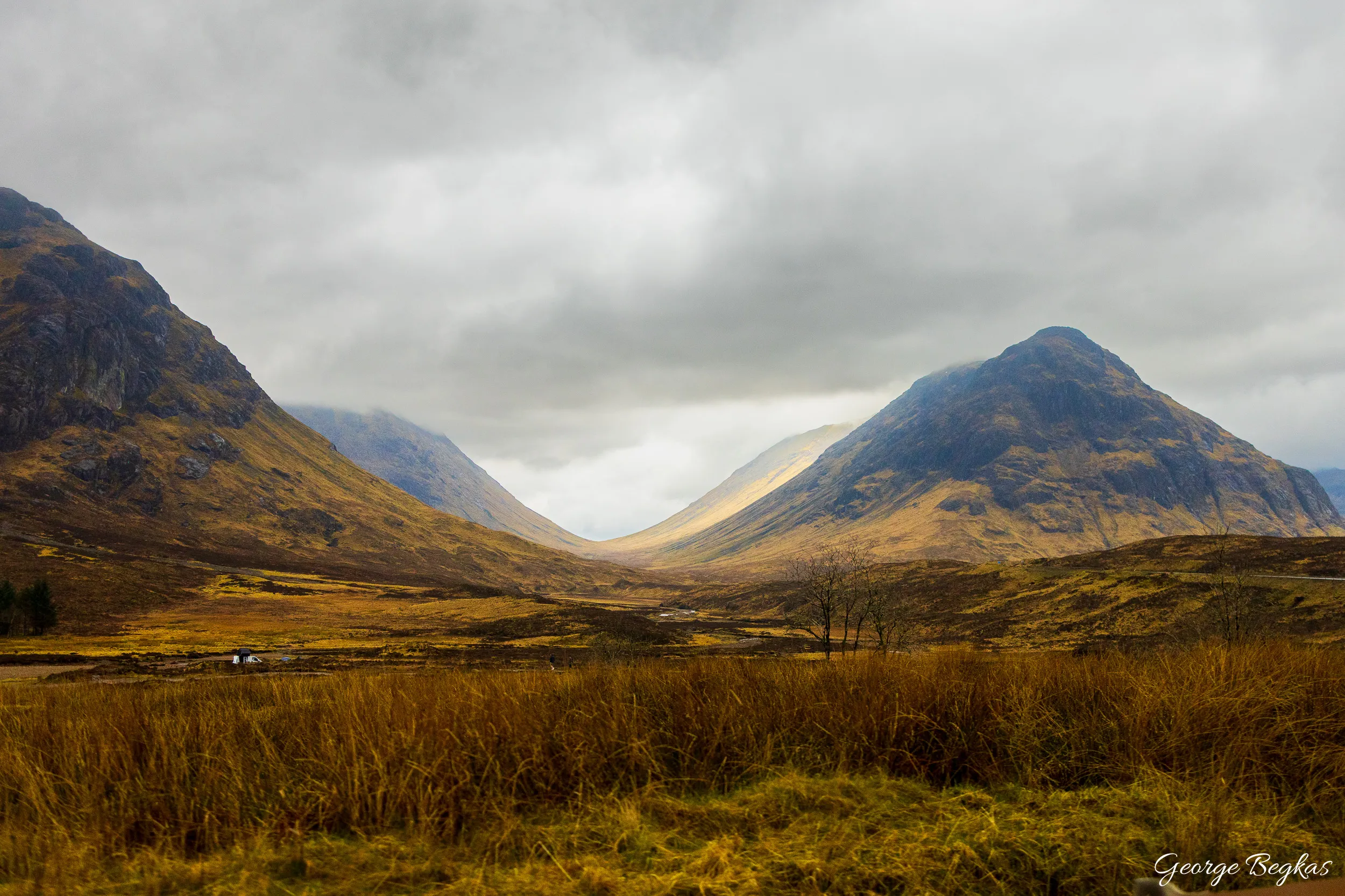 Scotland — 25