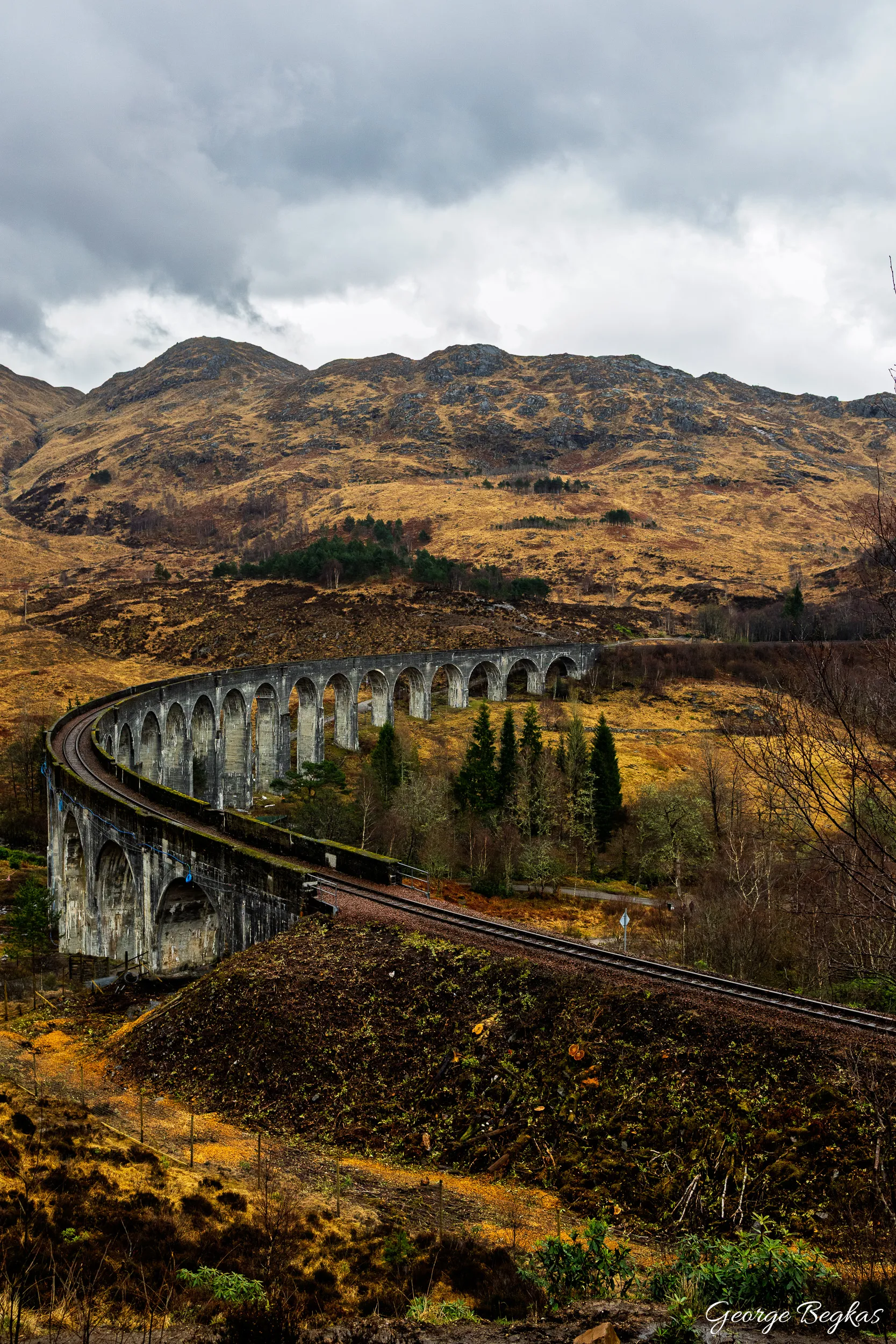 Scotland — 26