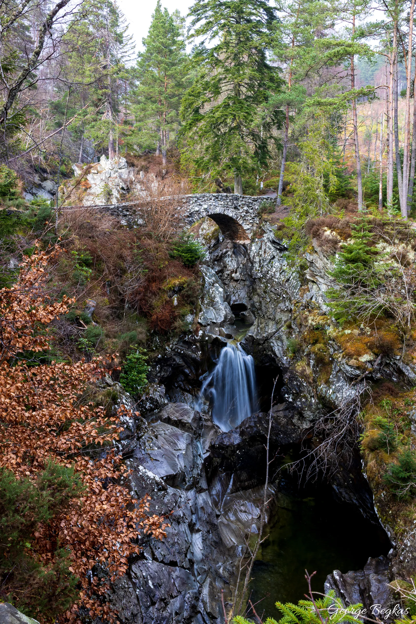 Scotland — 29