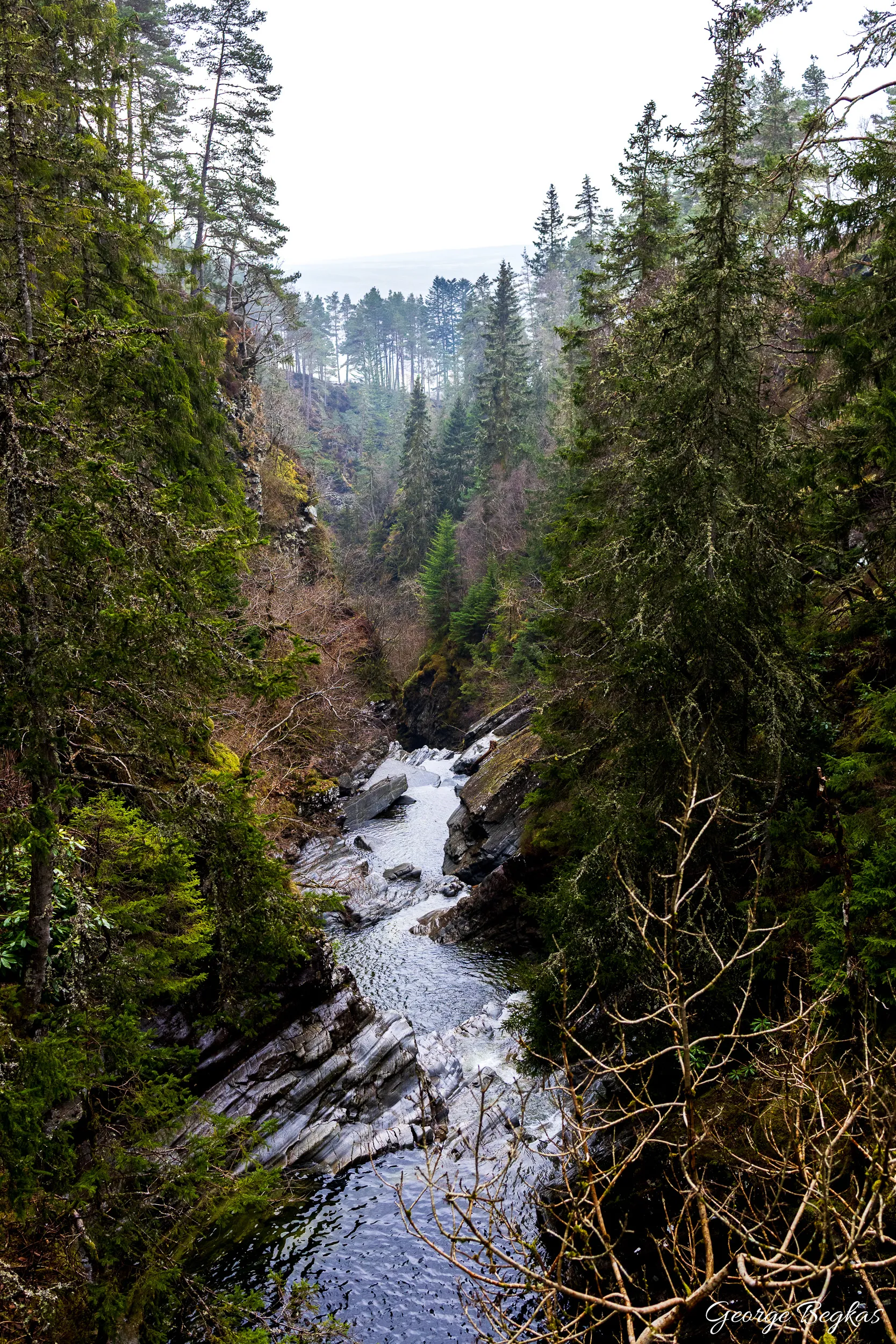 Scotland — 33