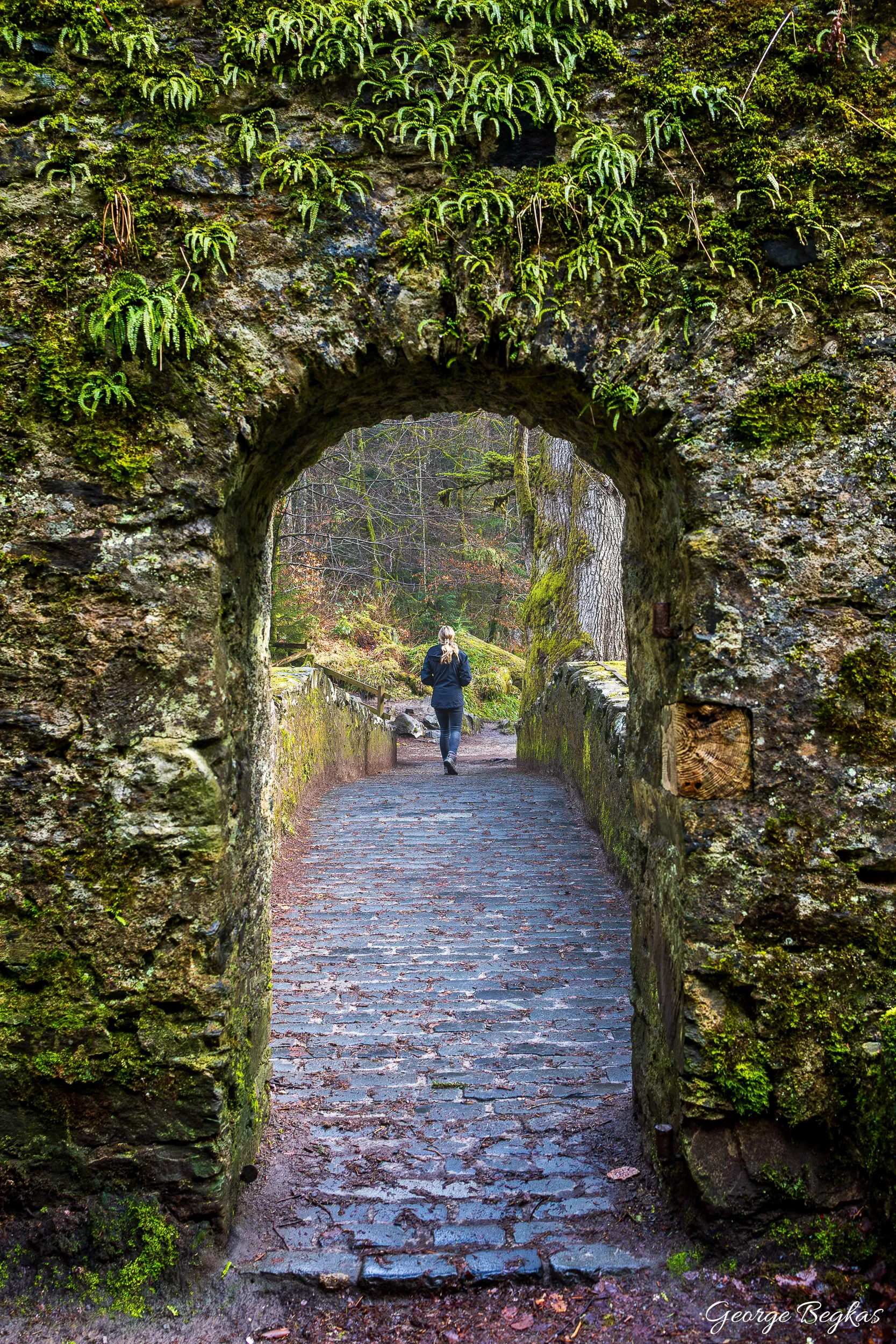 Scotland — 38