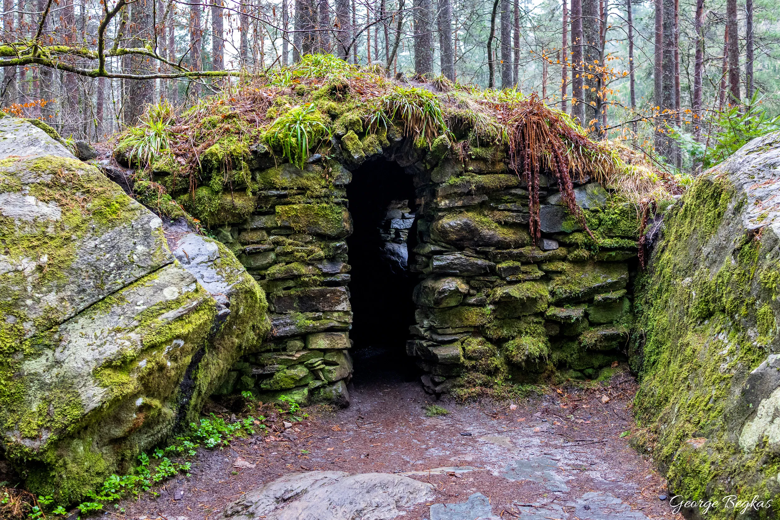 Scotland — 41