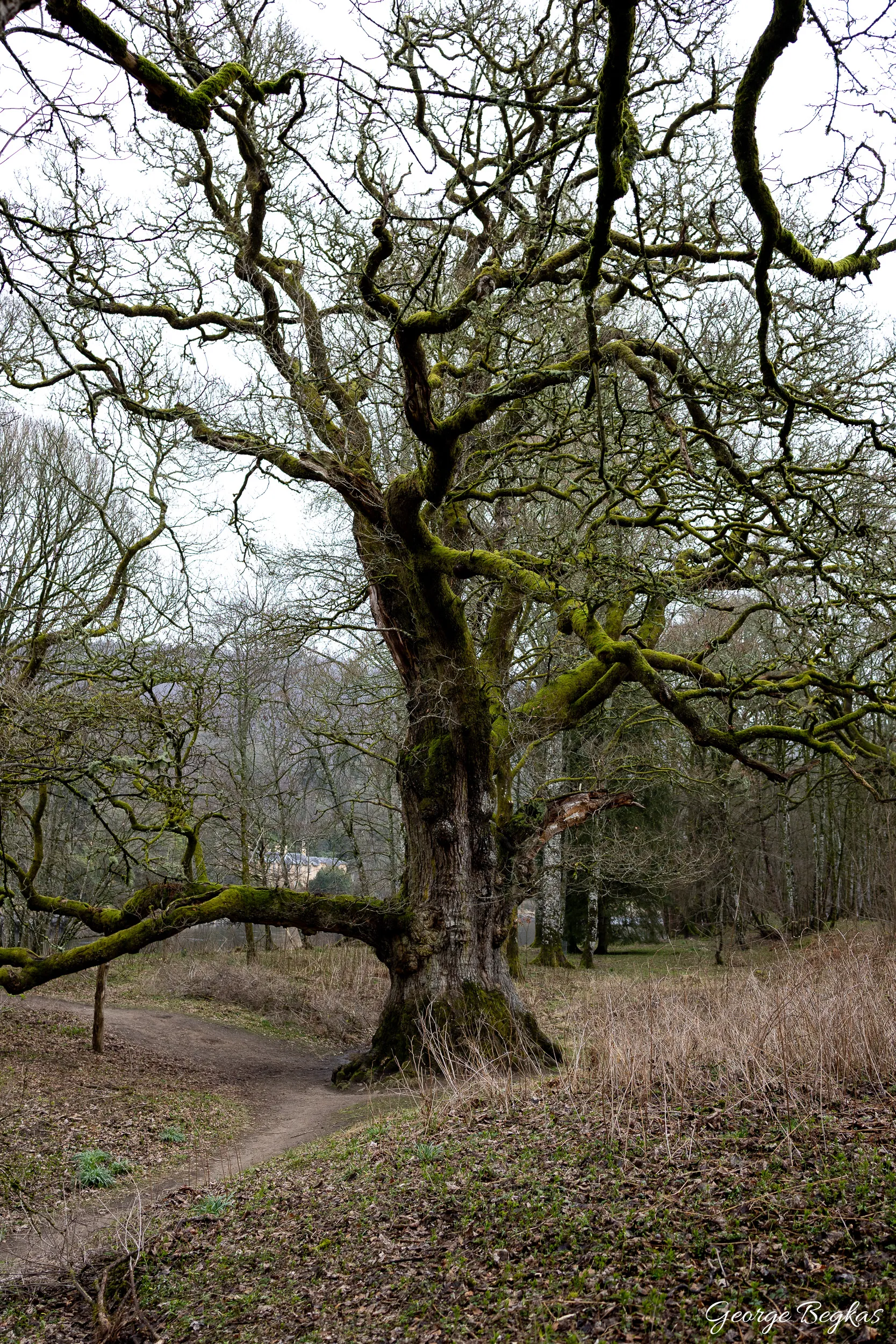 Scotland — 48