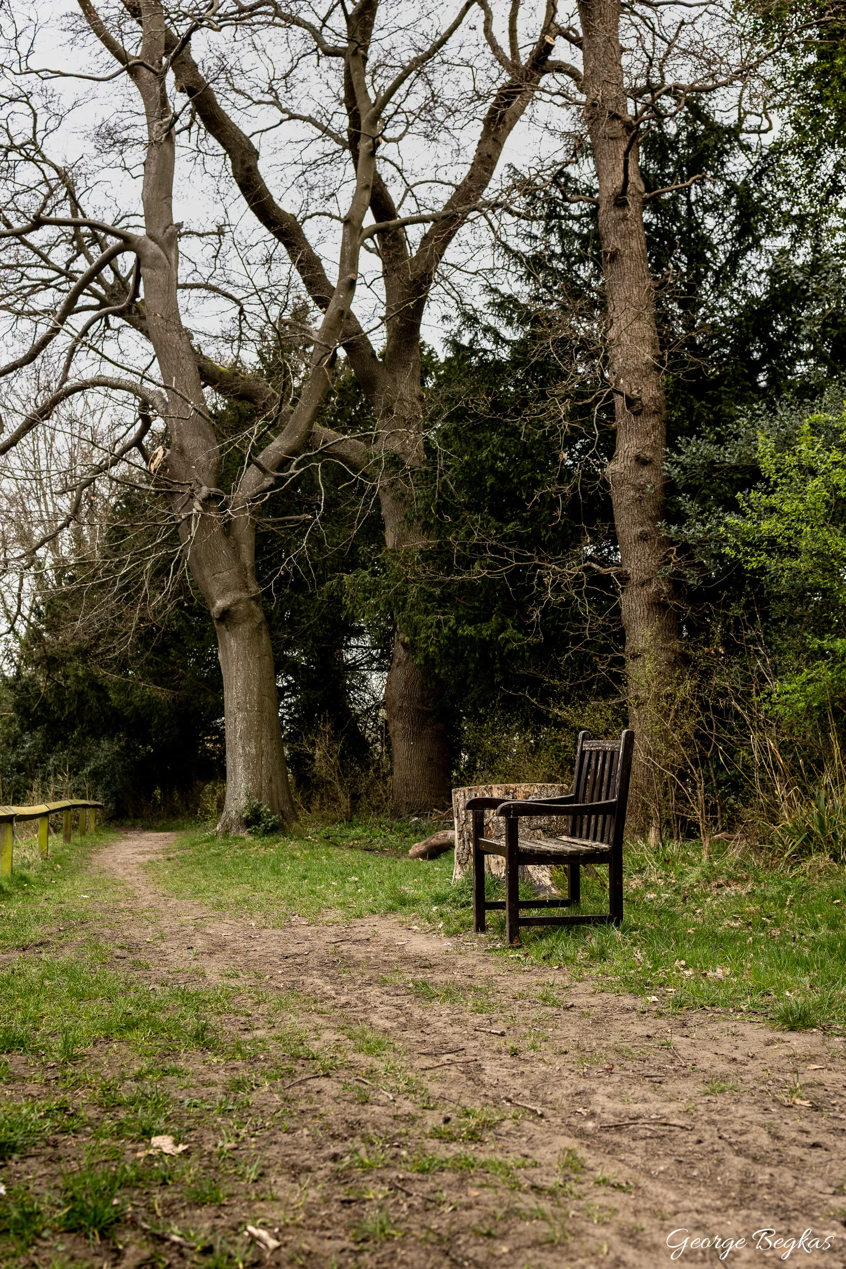 Surrey & Portsmouth — 13