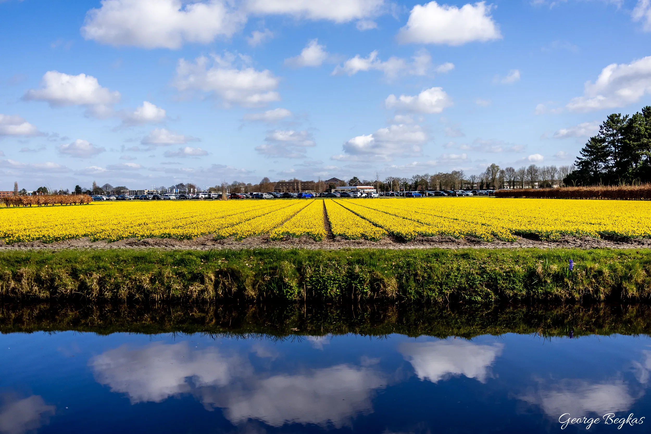 Netherlands — 2