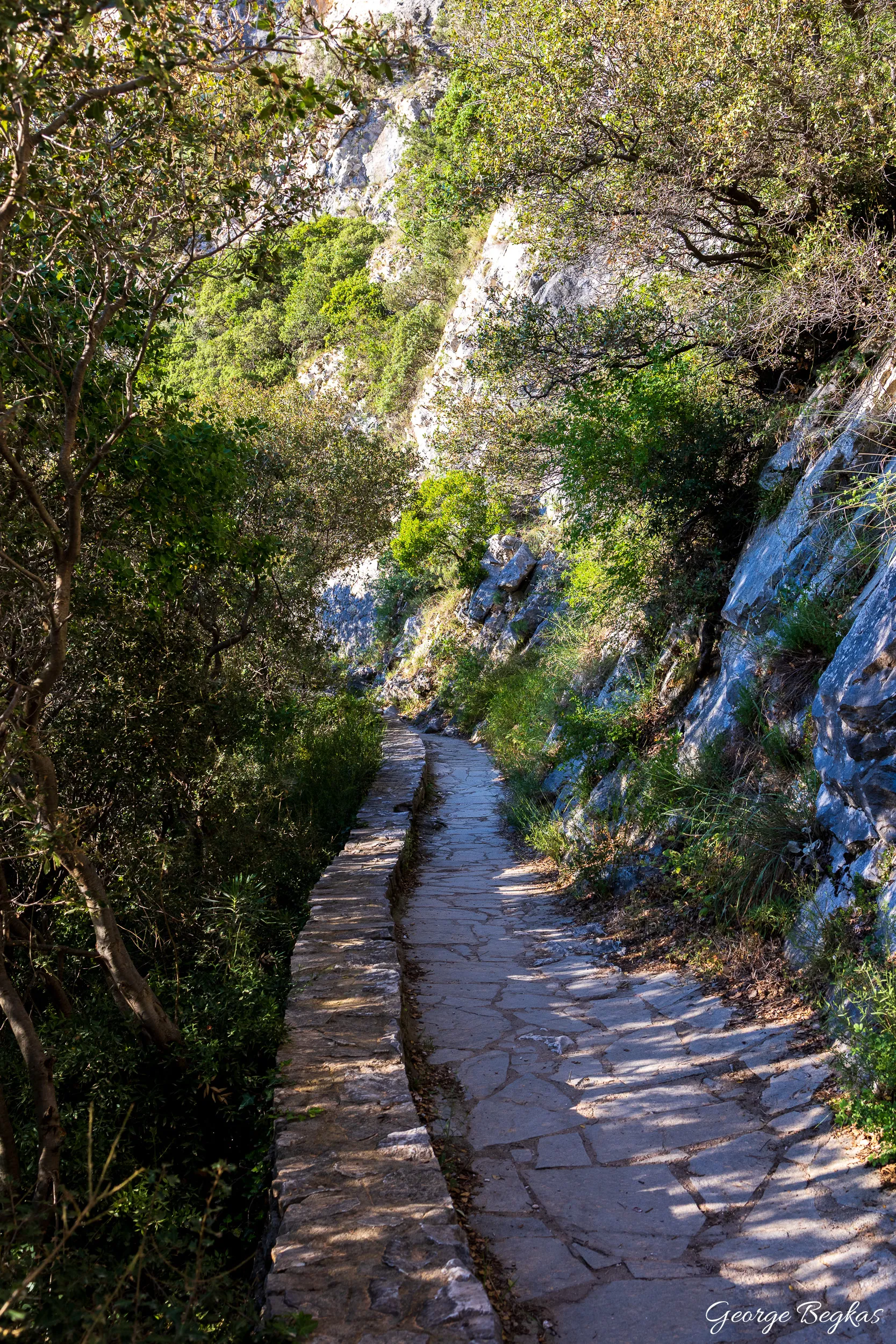 Nestos — 3