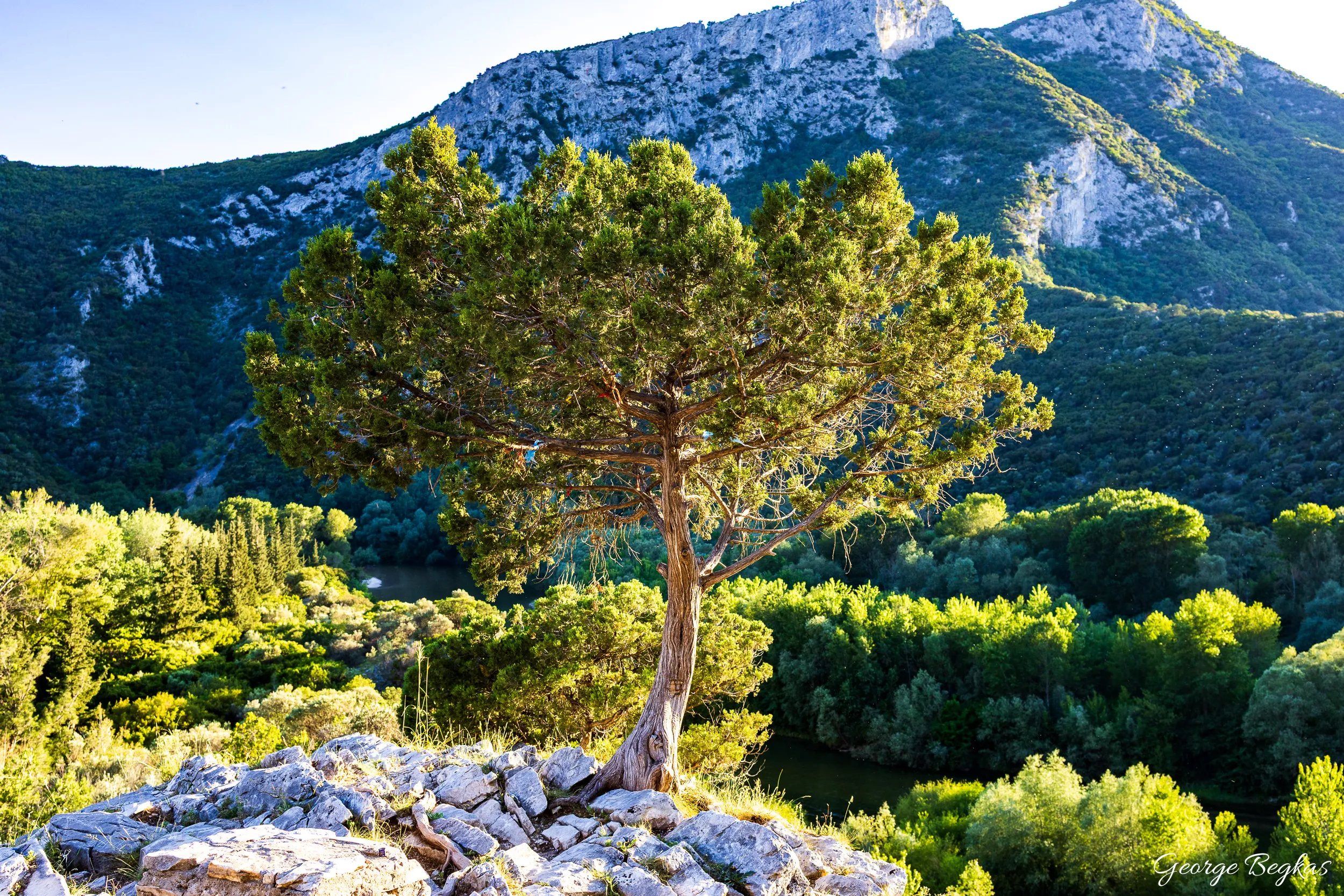 Nestos — 7