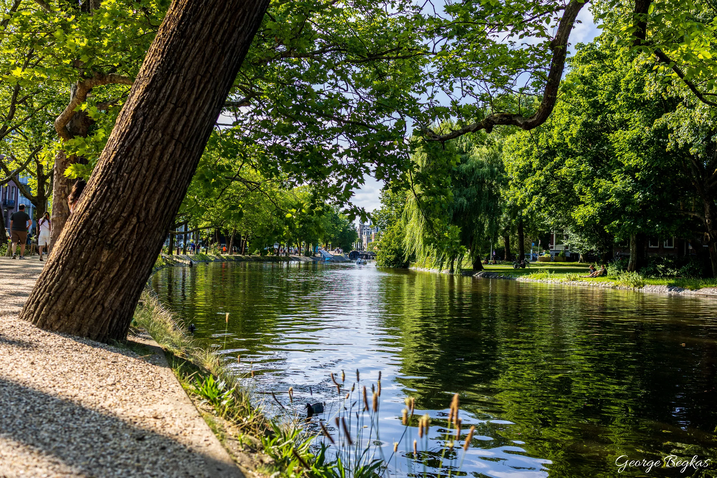 Netherlands — 11