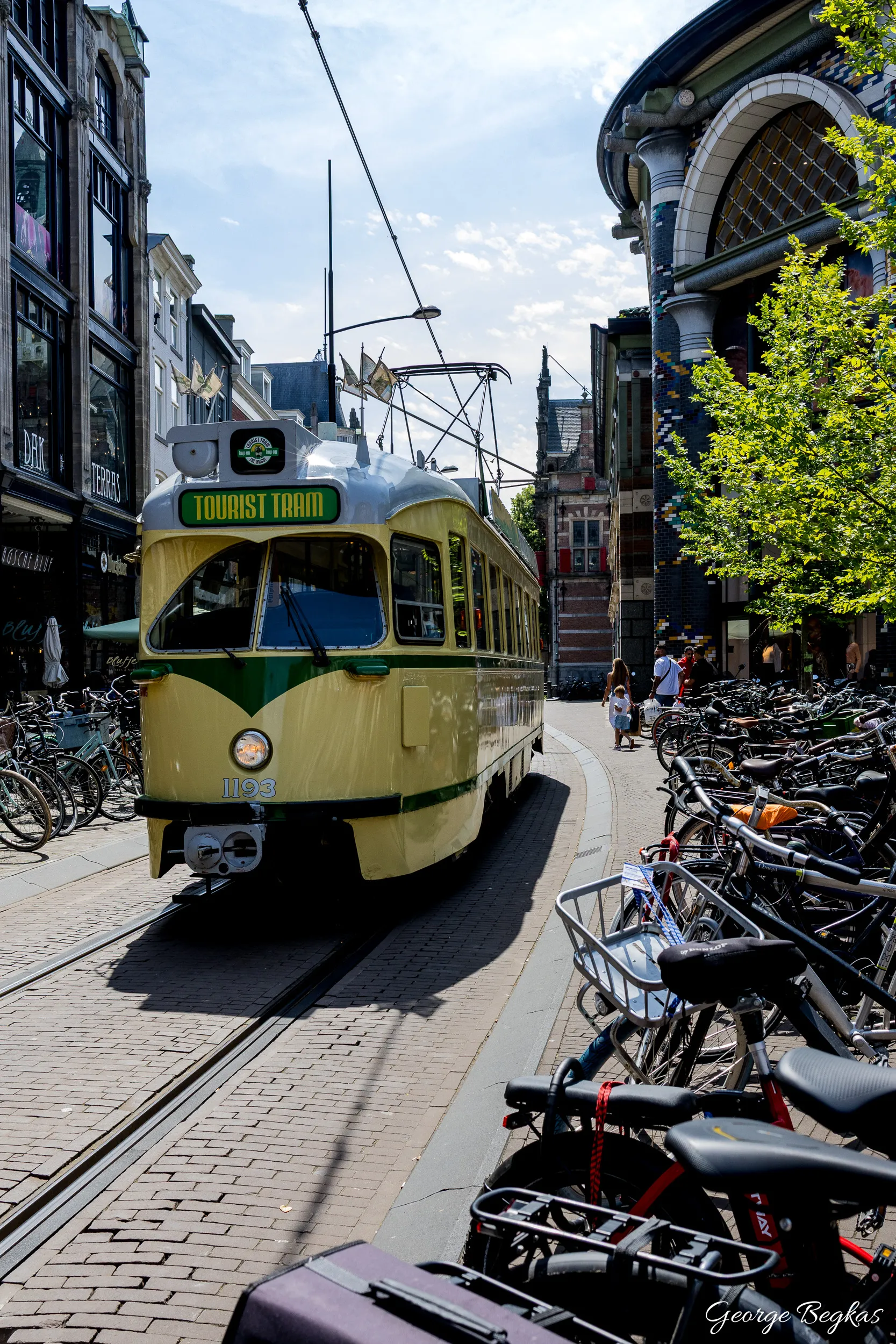 Netherlands — 15