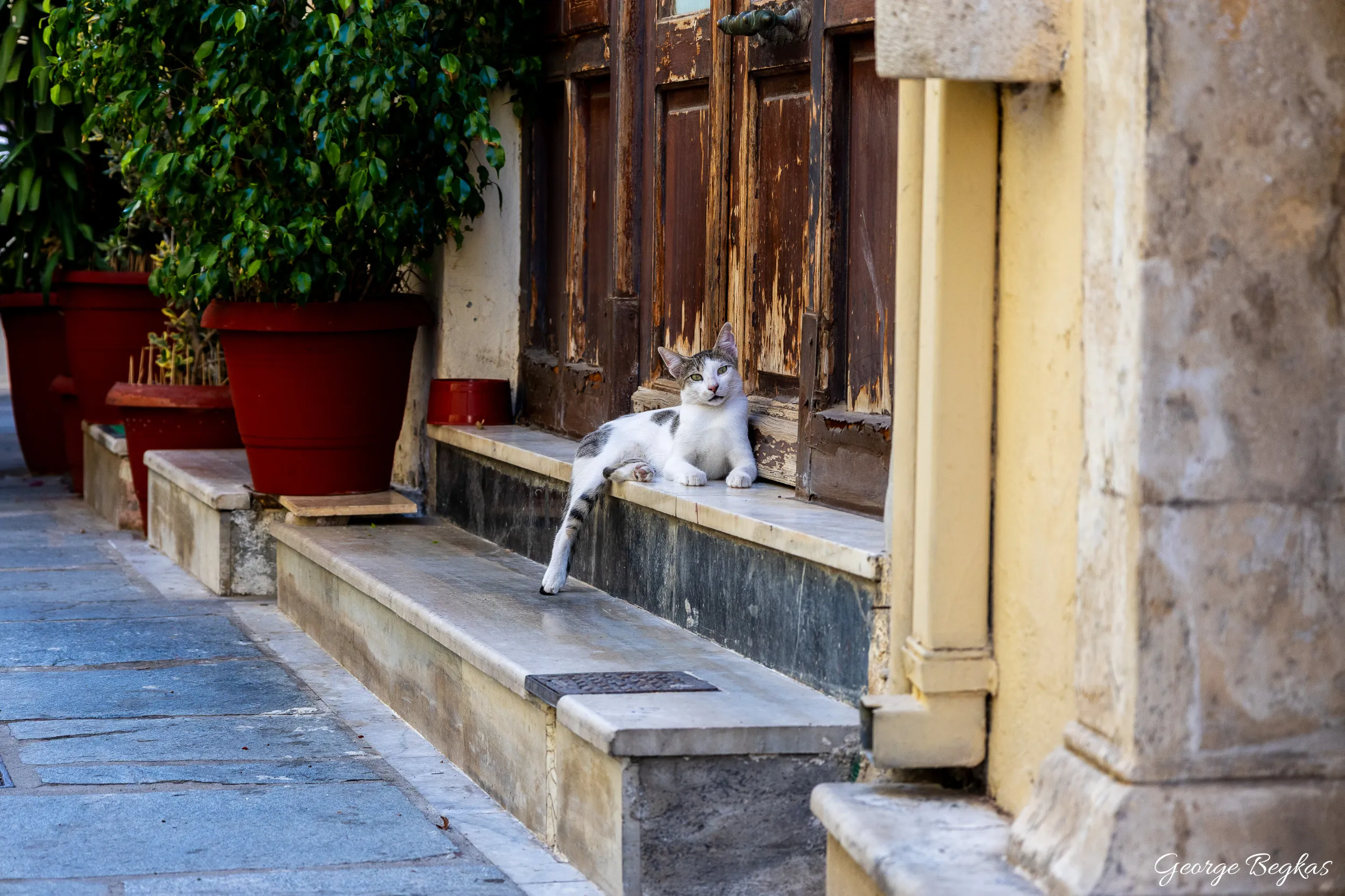 Crete in summer — 4