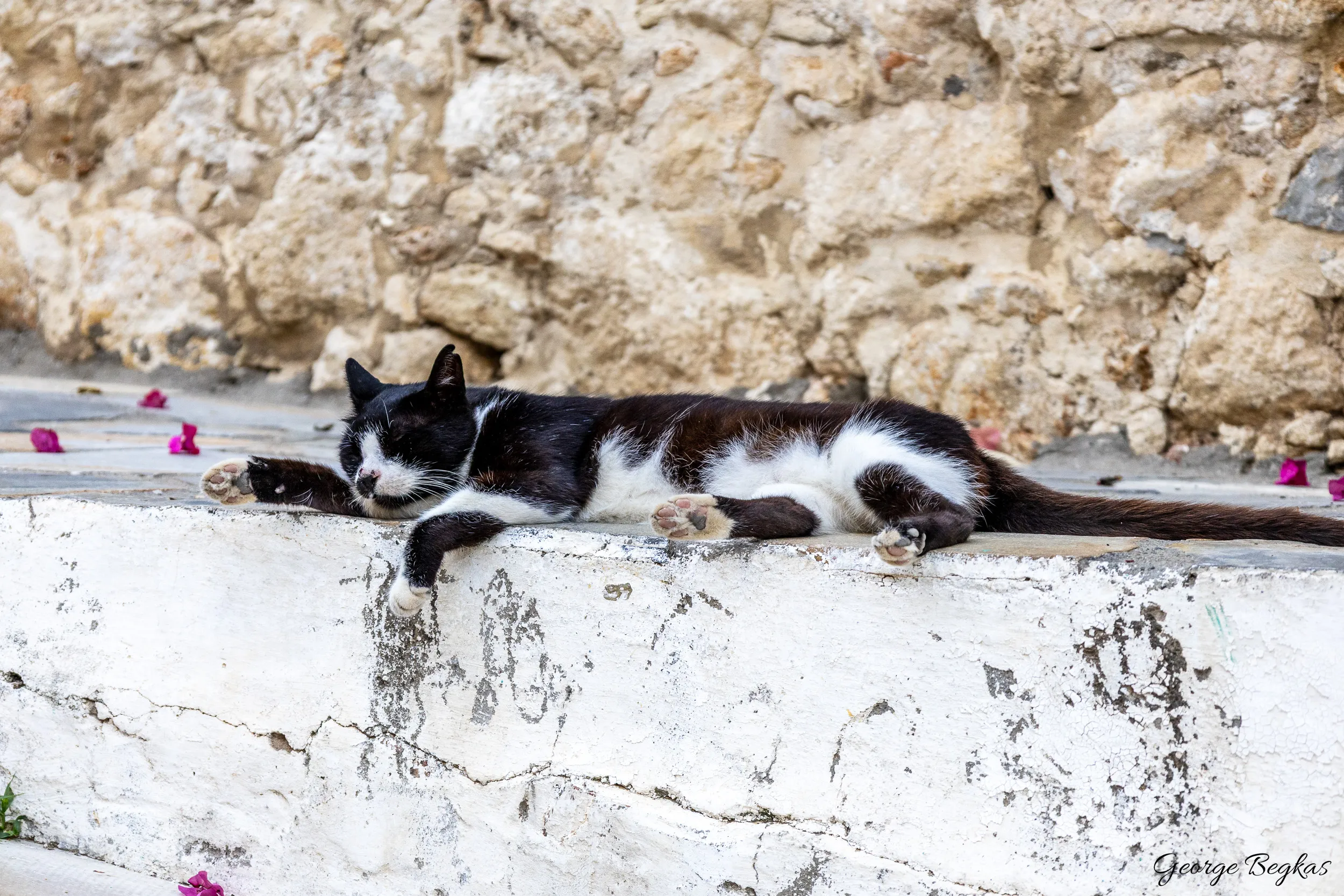 Crete in summer — 10