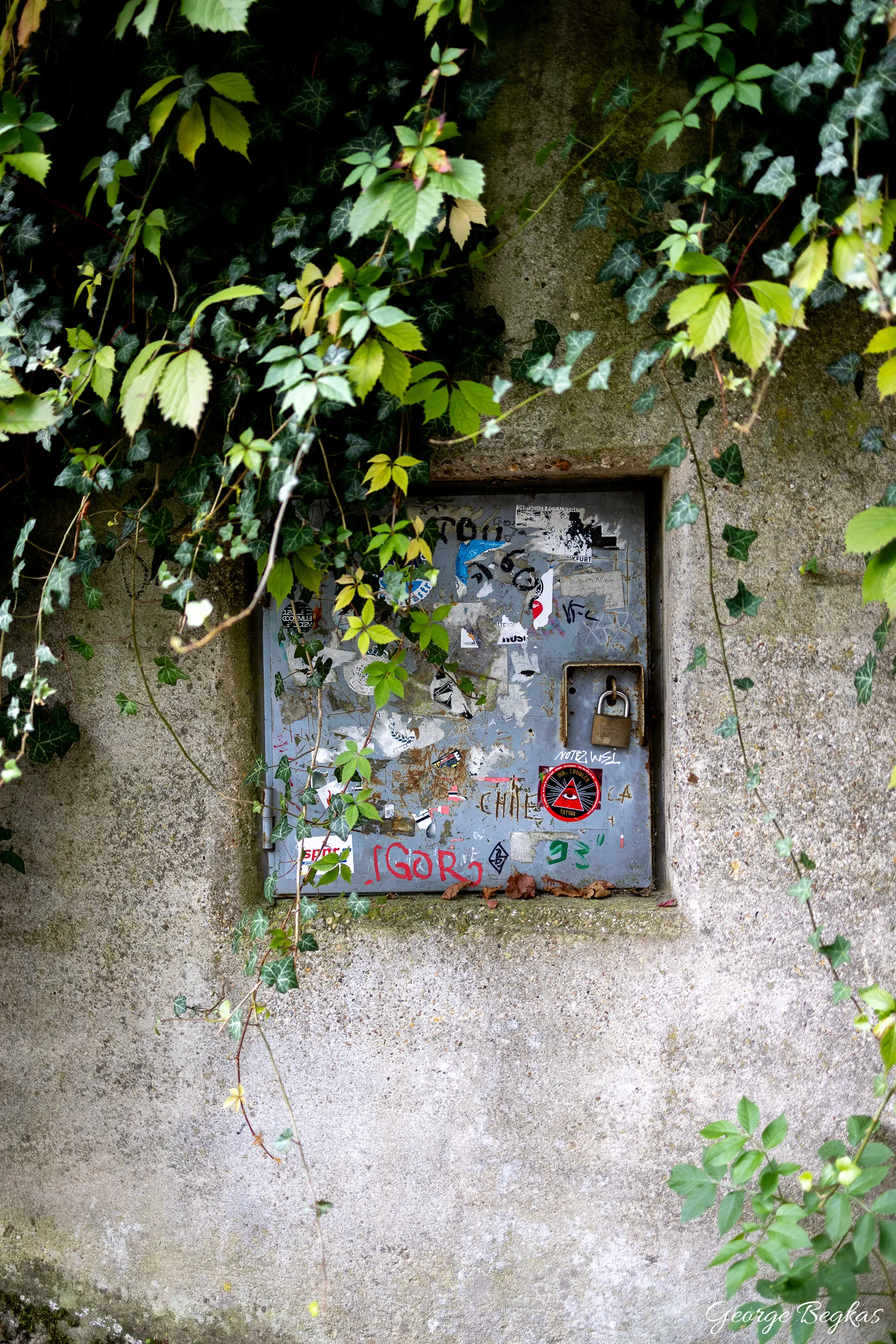 Bonn and the Rhine — 5