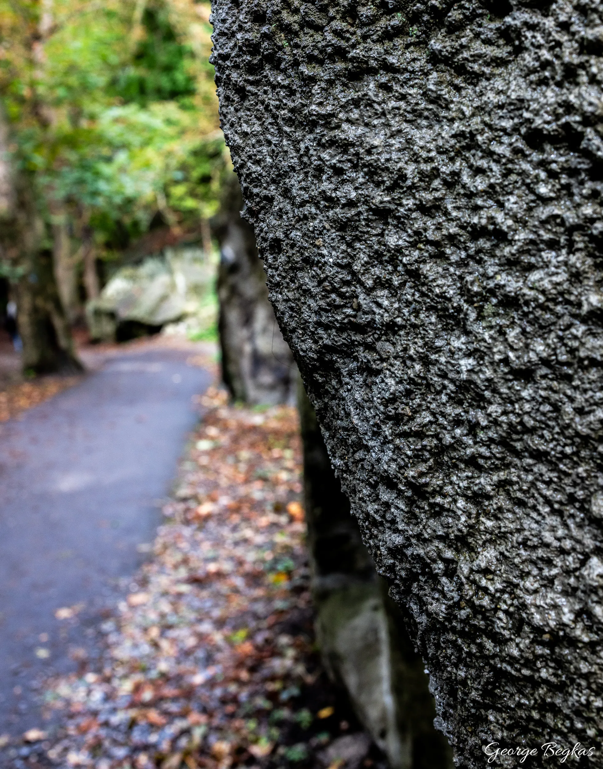 Bonn and the Rhine — 6