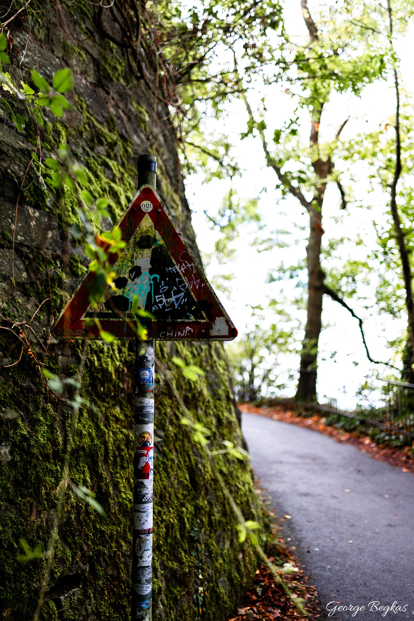 Bonn and the Rhine — 10