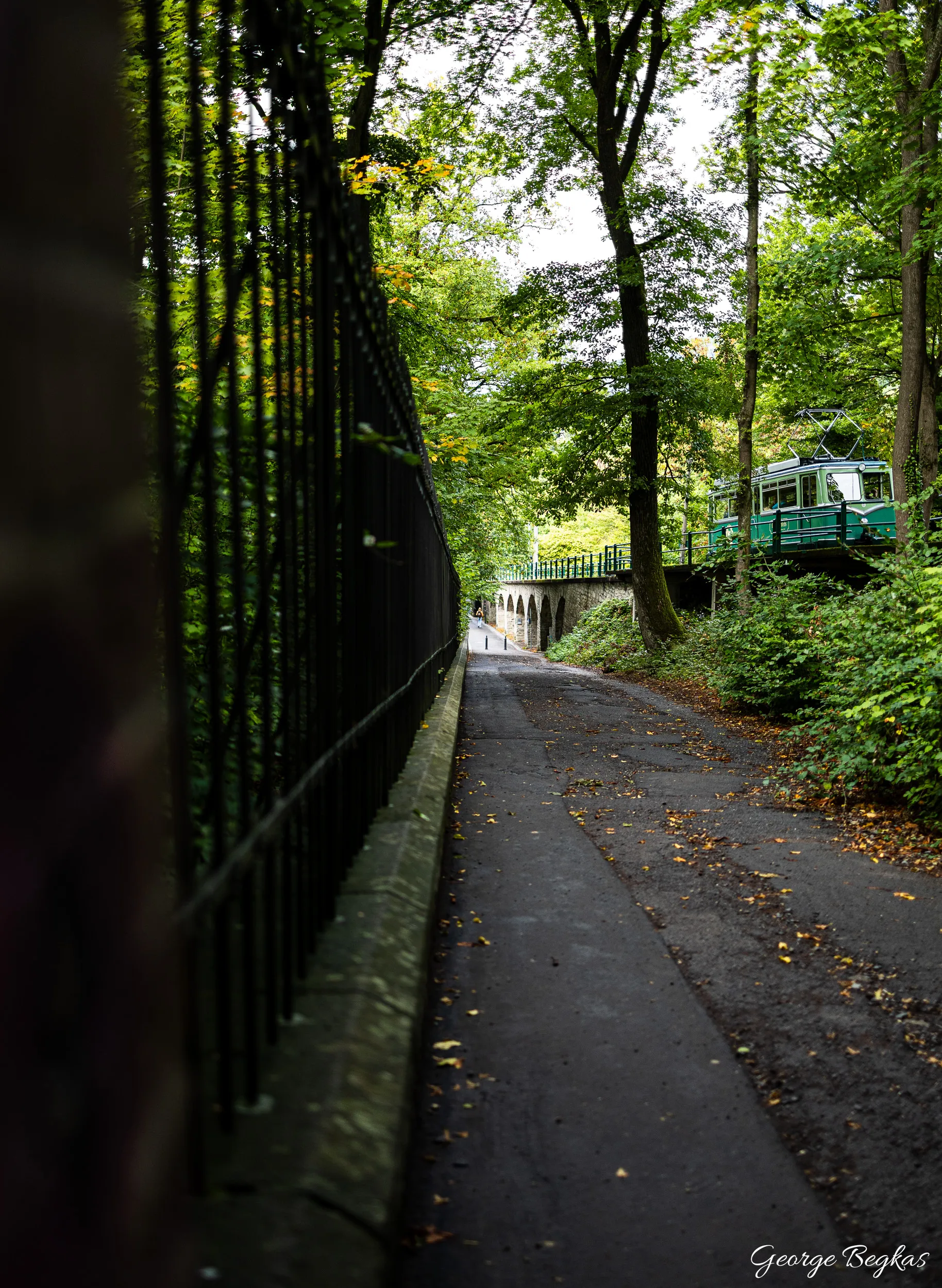 Bonn and the Rhine — 11