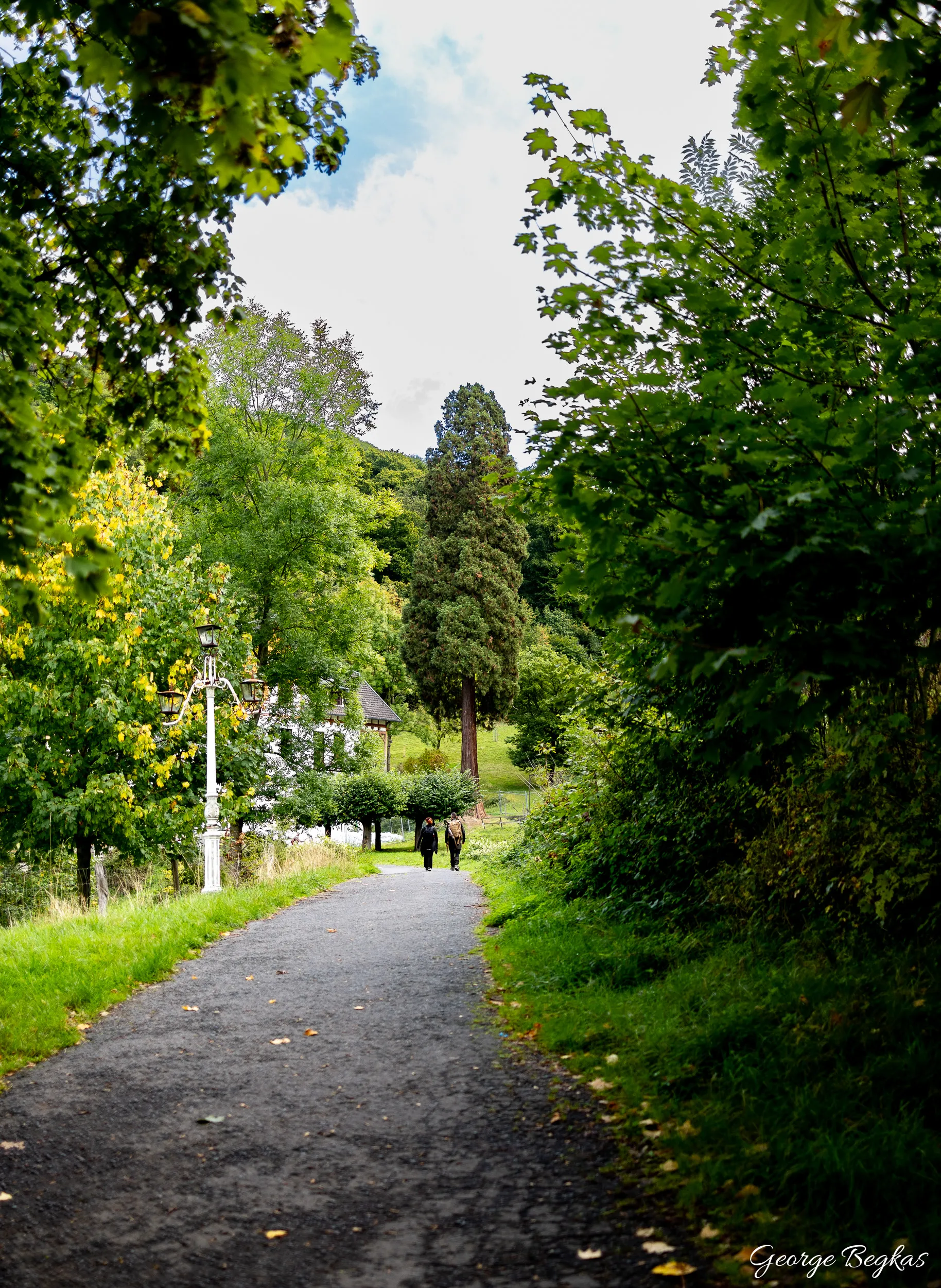 Bonn and the Rhine — 13
