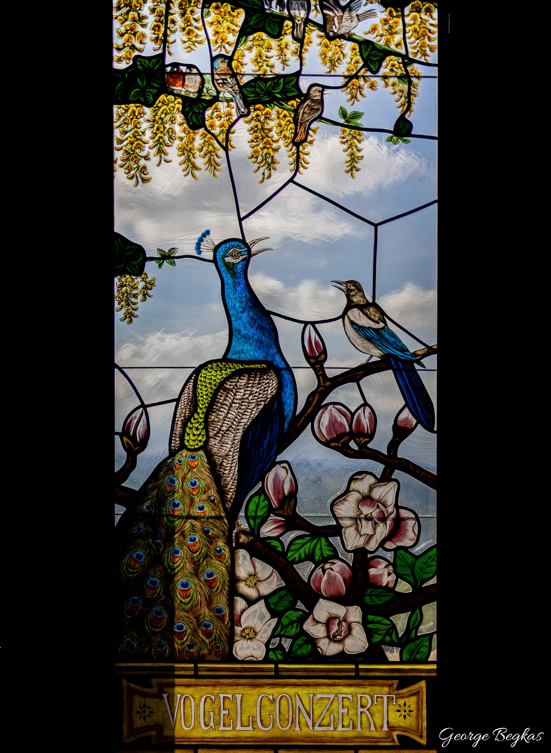 Bonn and the Rhine — 18