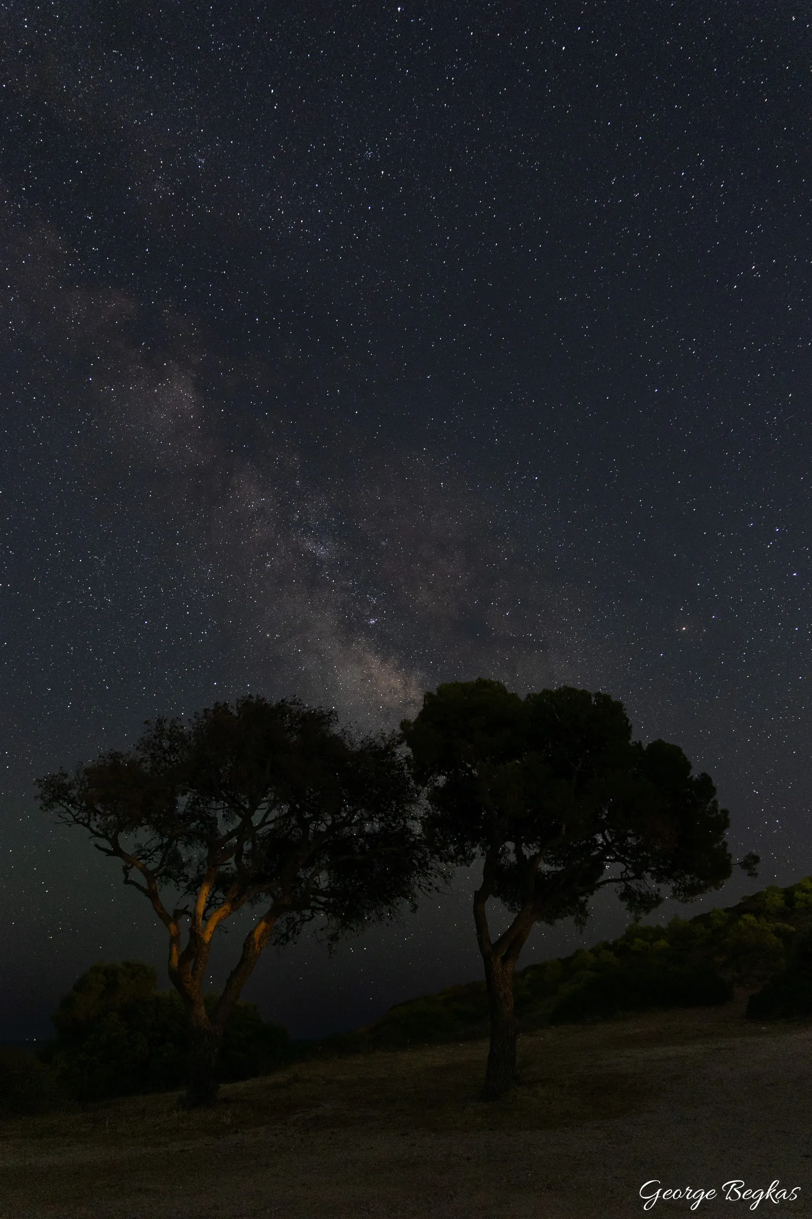 Under the Night Sky — 2