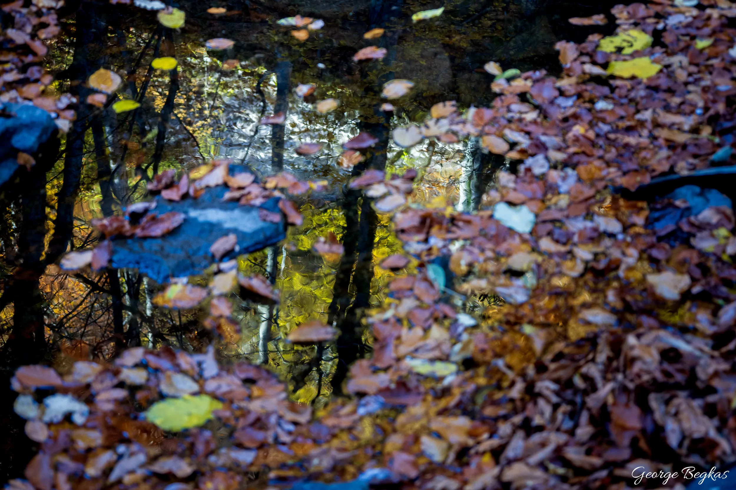 Livaditis — 6