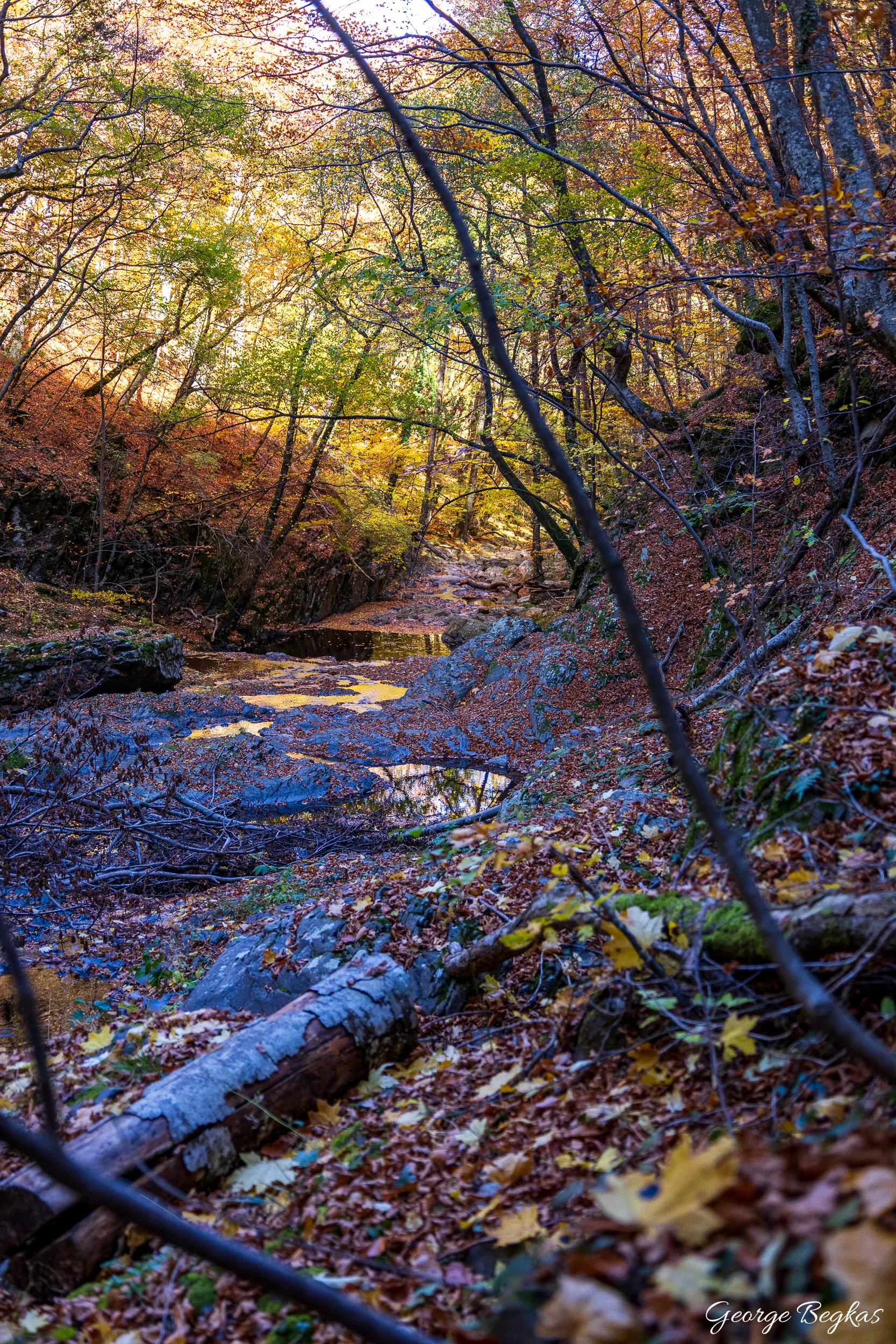 Livaditis — 9