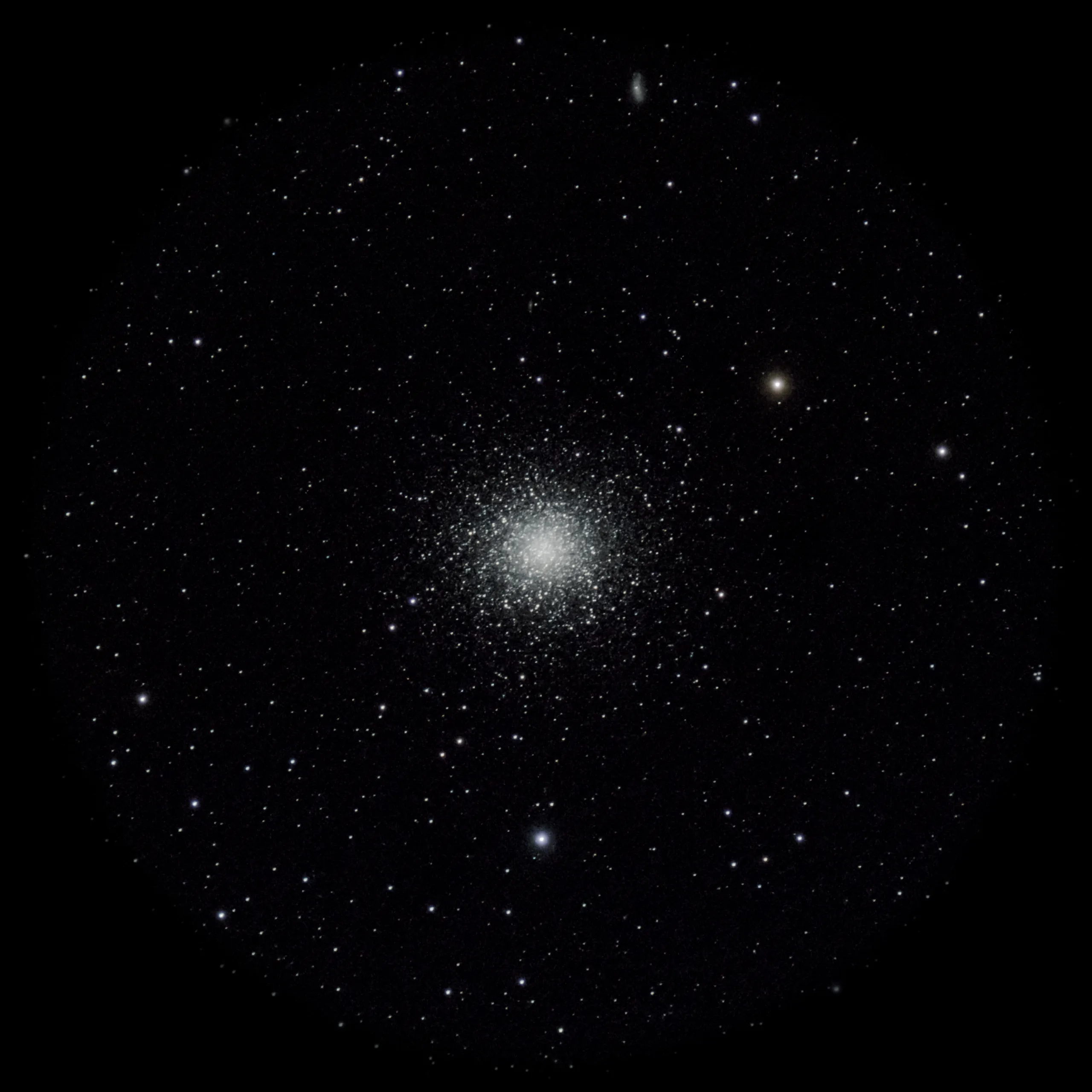 Under the Night Sky — 11