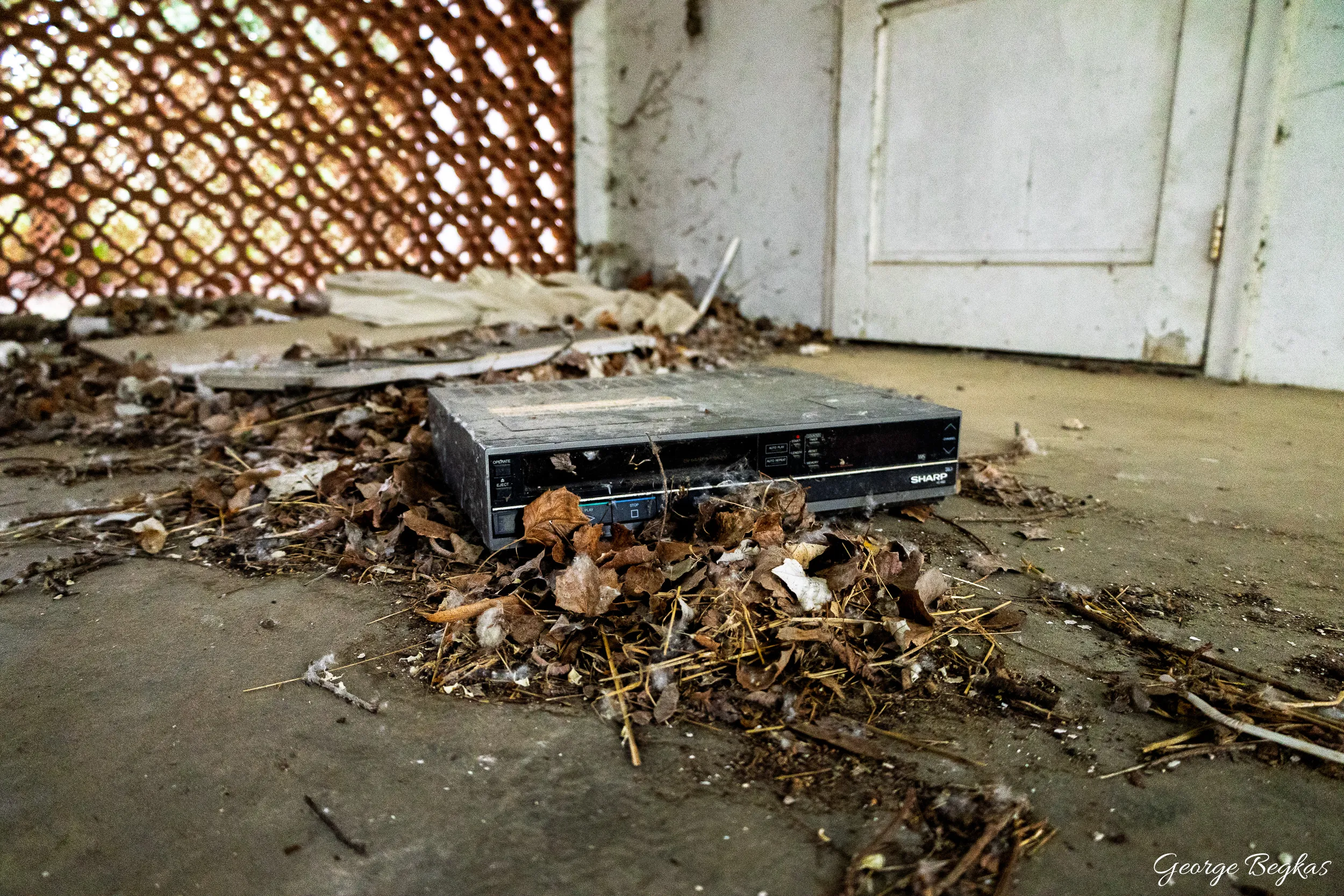 Abandonment